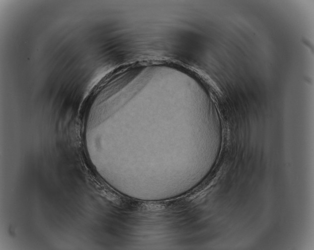 X0000091690878200709131605