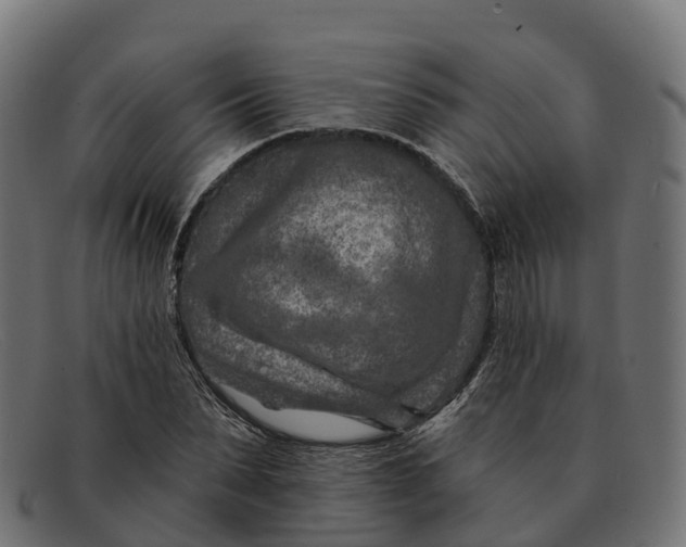 X0000091690879200709131605