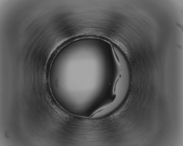 X0000091690880200709131605