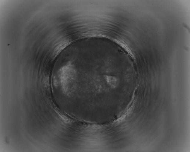 X0000091690881200709131605