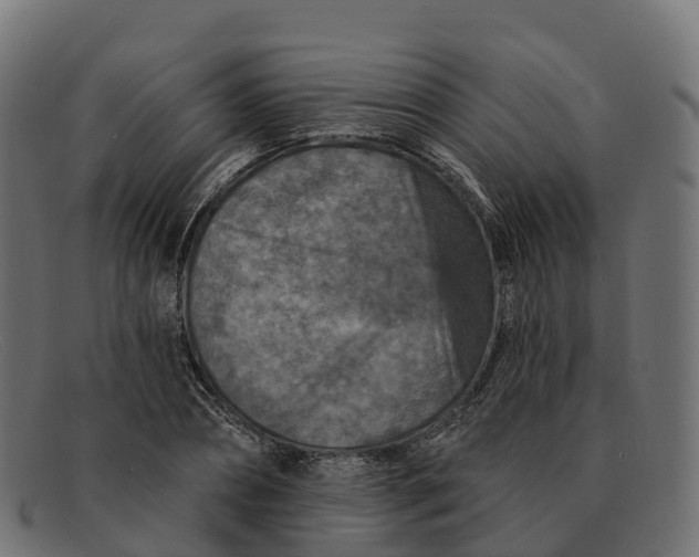 X0000091690882200709131605