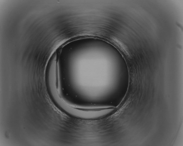 X0000091690884200709131605