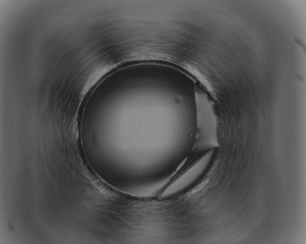 X0000091690885200709131605