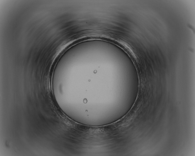 X0000091690887200709131605