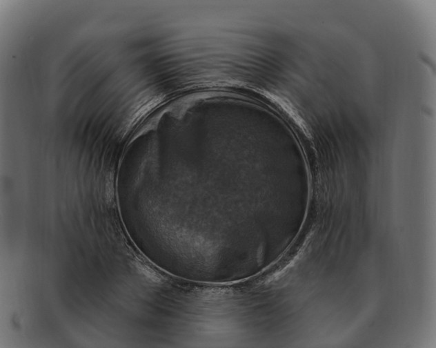 X0000091690889200709131605