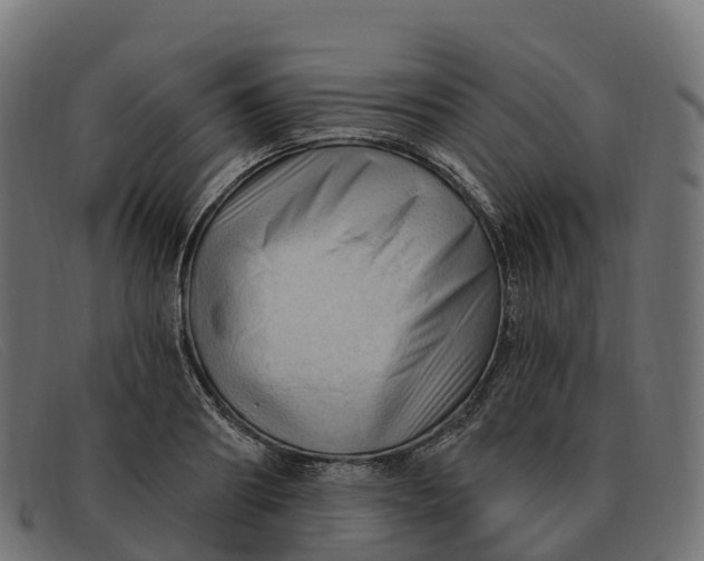 X0000091690890200709131605