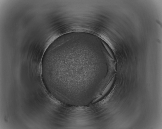 X0000091690891200709131605