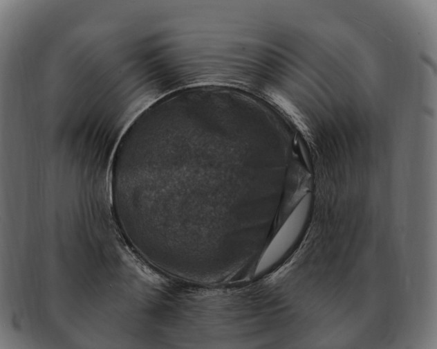 X0000091690892200709131605