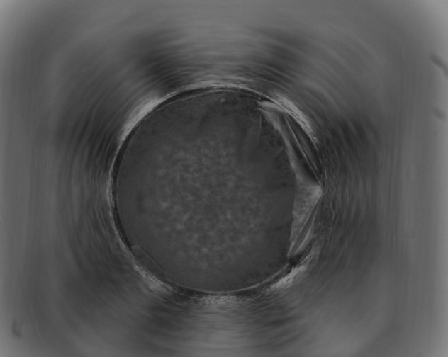 X0000091690893200709131605