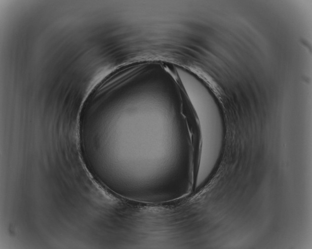 X0000091690894200709131605