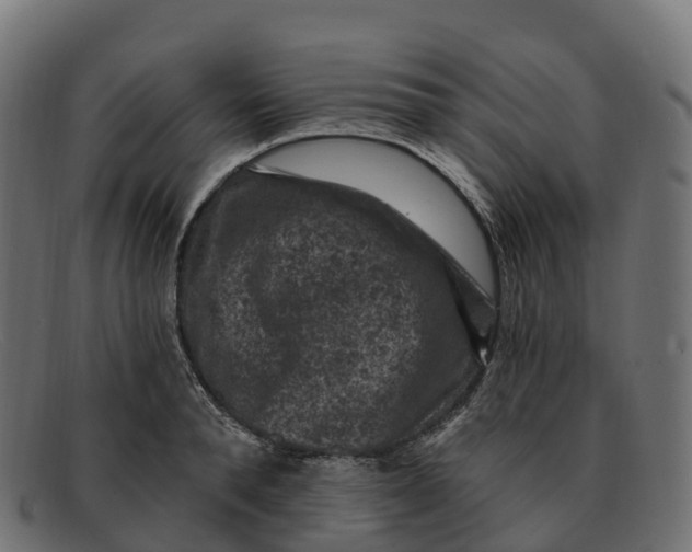 X0000091690896200709131605