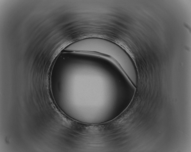 X0000091690898200709131605