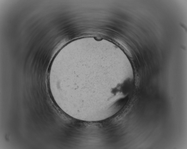 X0000091690899200709131605