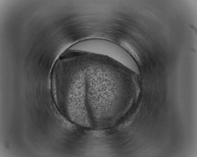 X0000091690900200709131605