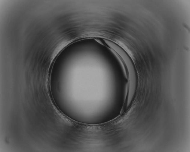 X0000091690901200709131605