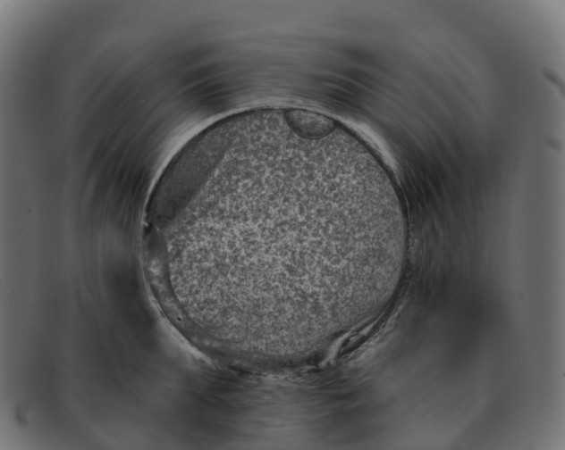 X0000091690903200709131605