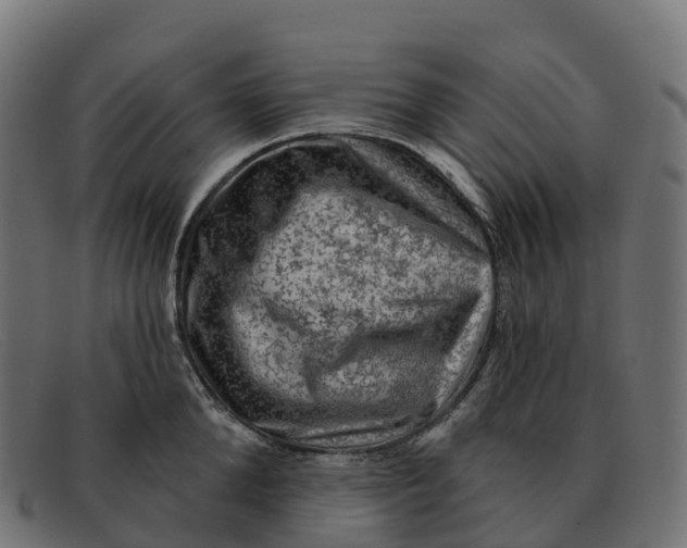 X0000091690904200709131605