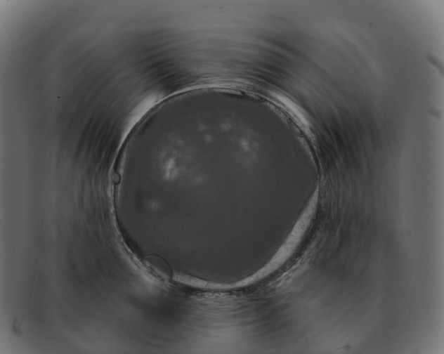 X0000091690907200709131604