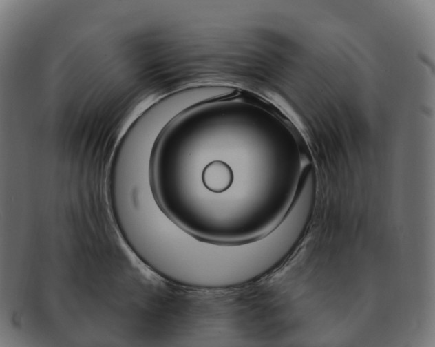 X0000091690909200709131604