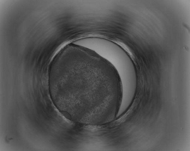 X0000091690910200709131604