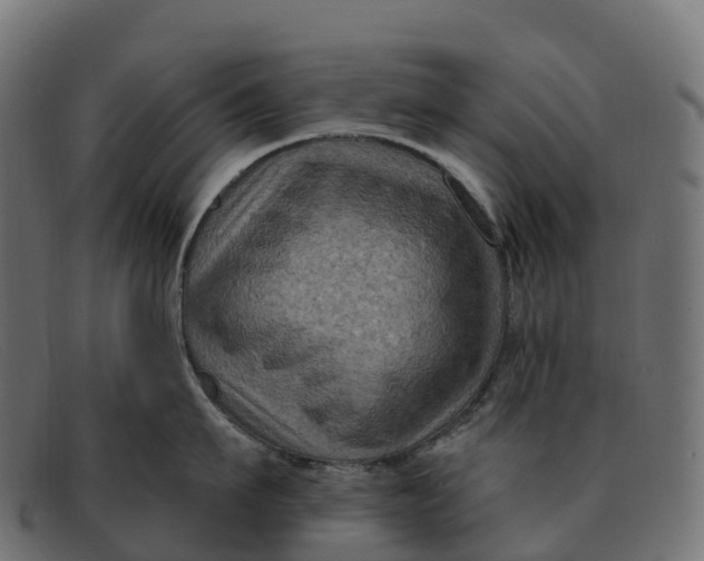 X0000091690911200709131604