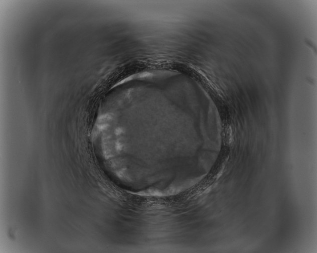 X0000091690913200709131604