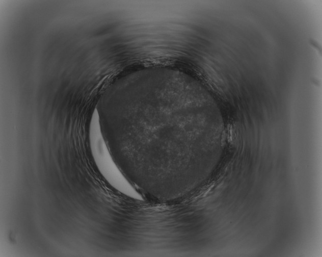 X0000091690915200709131604