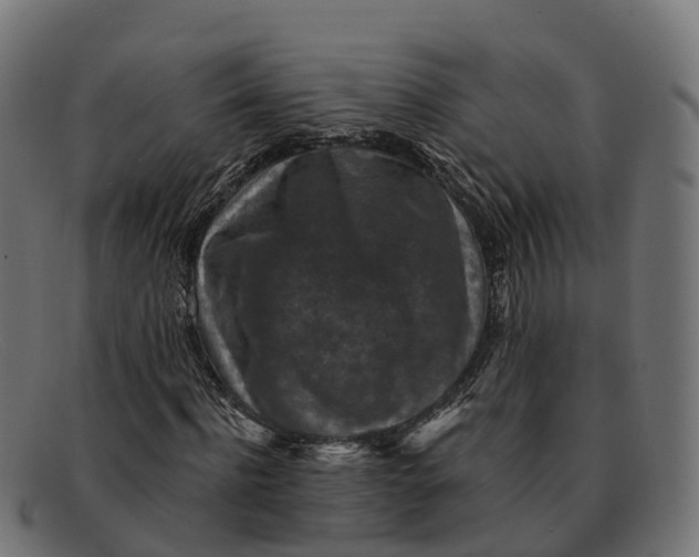 X0000091690916200709131604