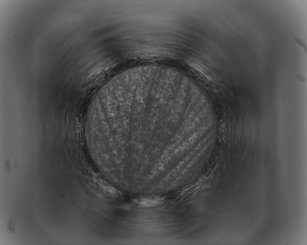 X0000091690917200709131604