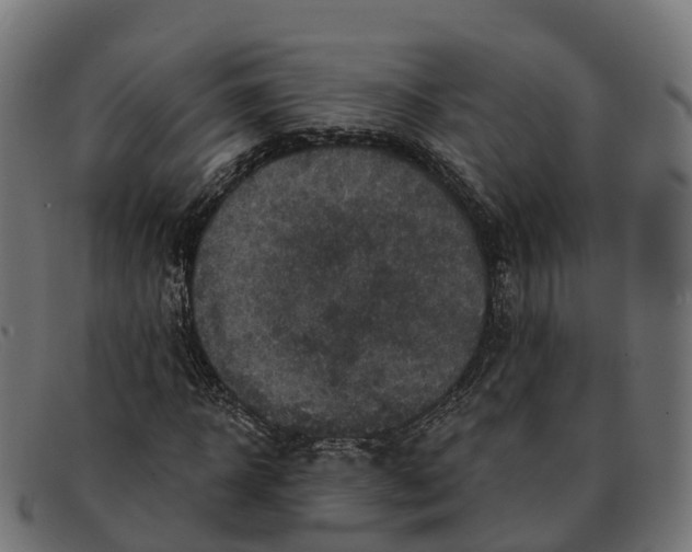 X0000091690918200709131604