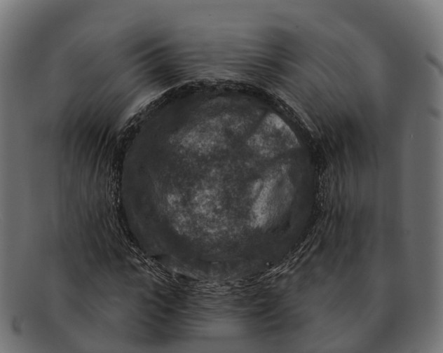 X0000091690919200709131604