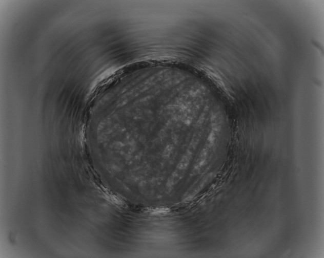 X0000091690920200709131604