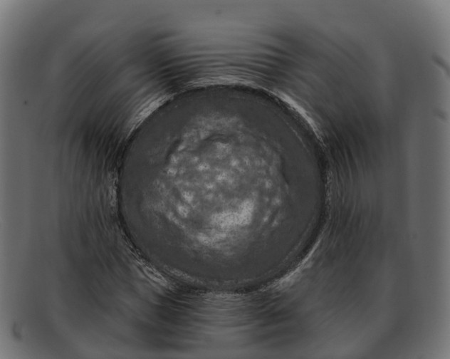 X0000091690921200709131604