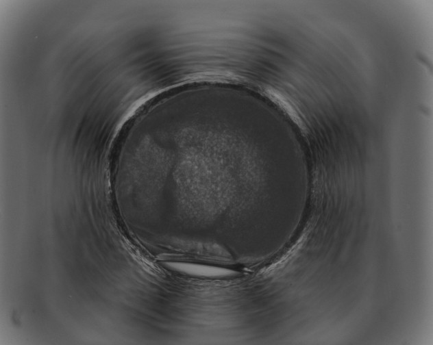 X0000091690923200709131604