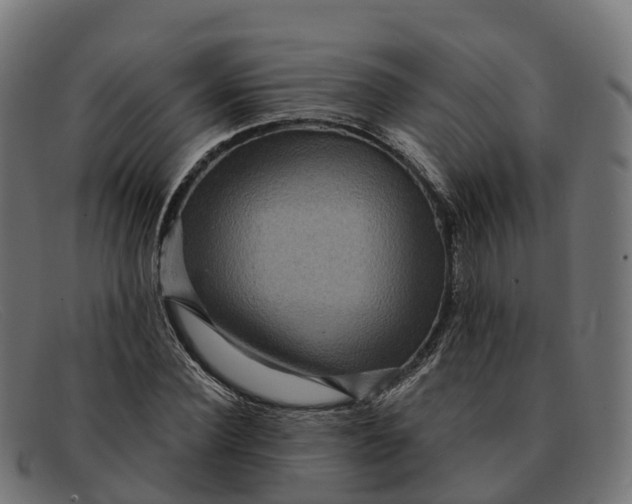 X0000091690924200709131604