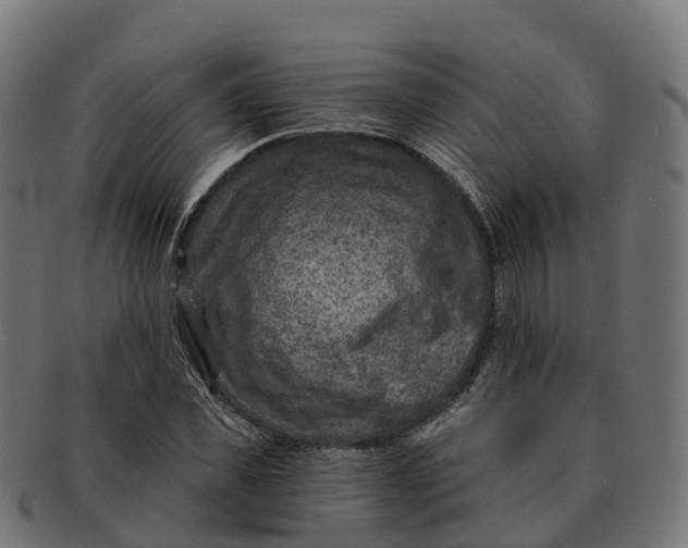 X0000091690925200709131604