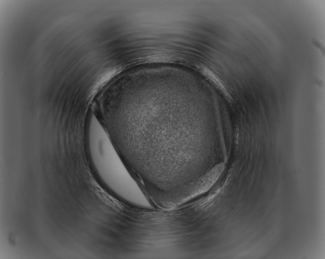 X0000091690930200709131604