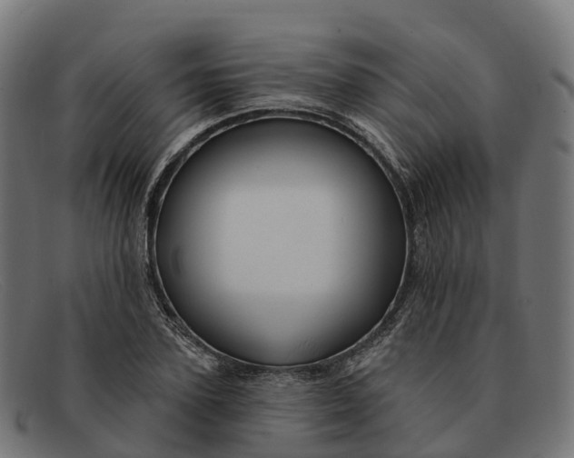 X0000091690931200709131604