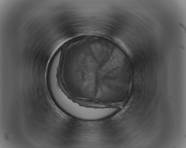 X0000091690932200709131604