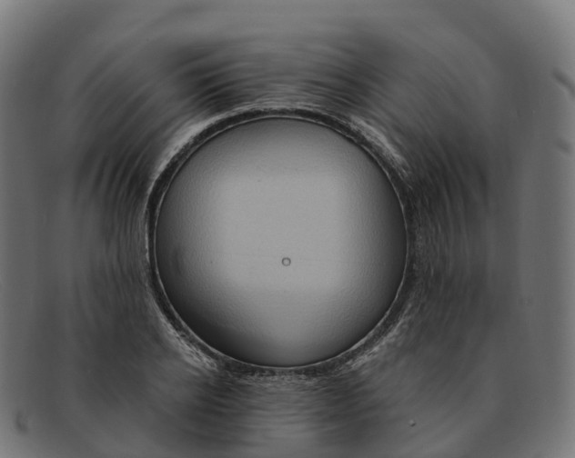 X0000091690934200709131604