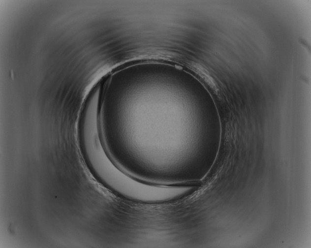 X0000091690936200709131604