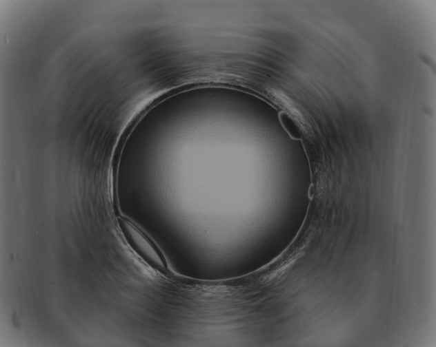 X0000091690940200709131604