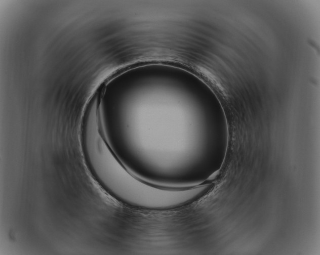 X0000091690942200709131604