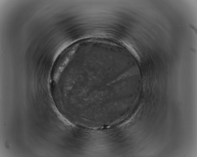 X0000091690944200709131604