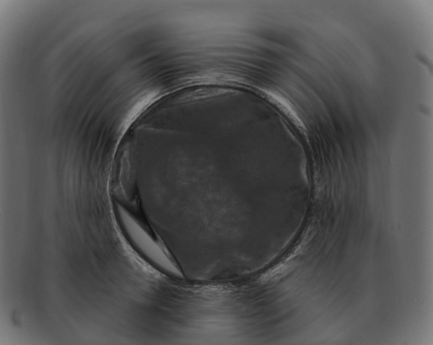 X0000091690946200709131604