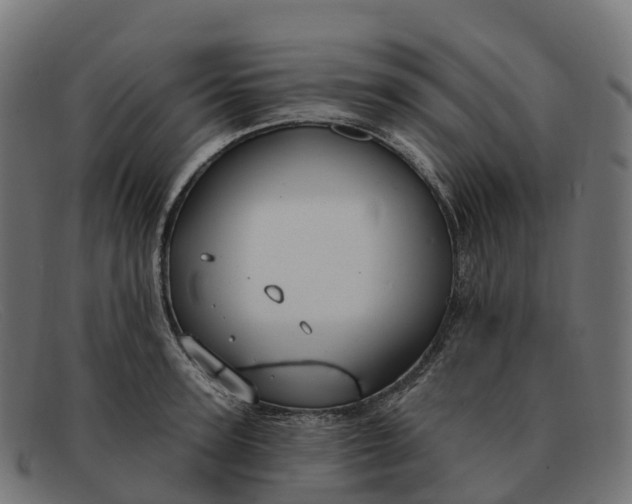 X0000091690947200709131604