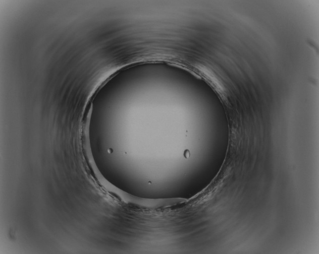 X0000091690948200709131604