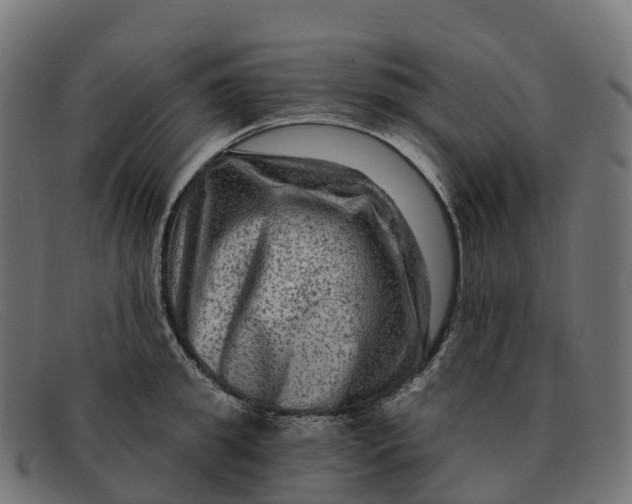 X0000091690949200709131604