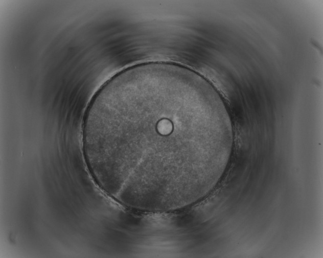 X0000091690950200709131604