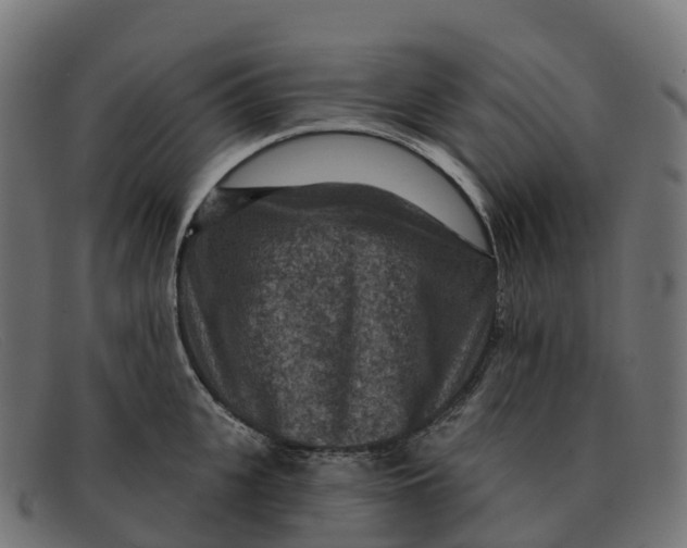 X0000091690951200709131604